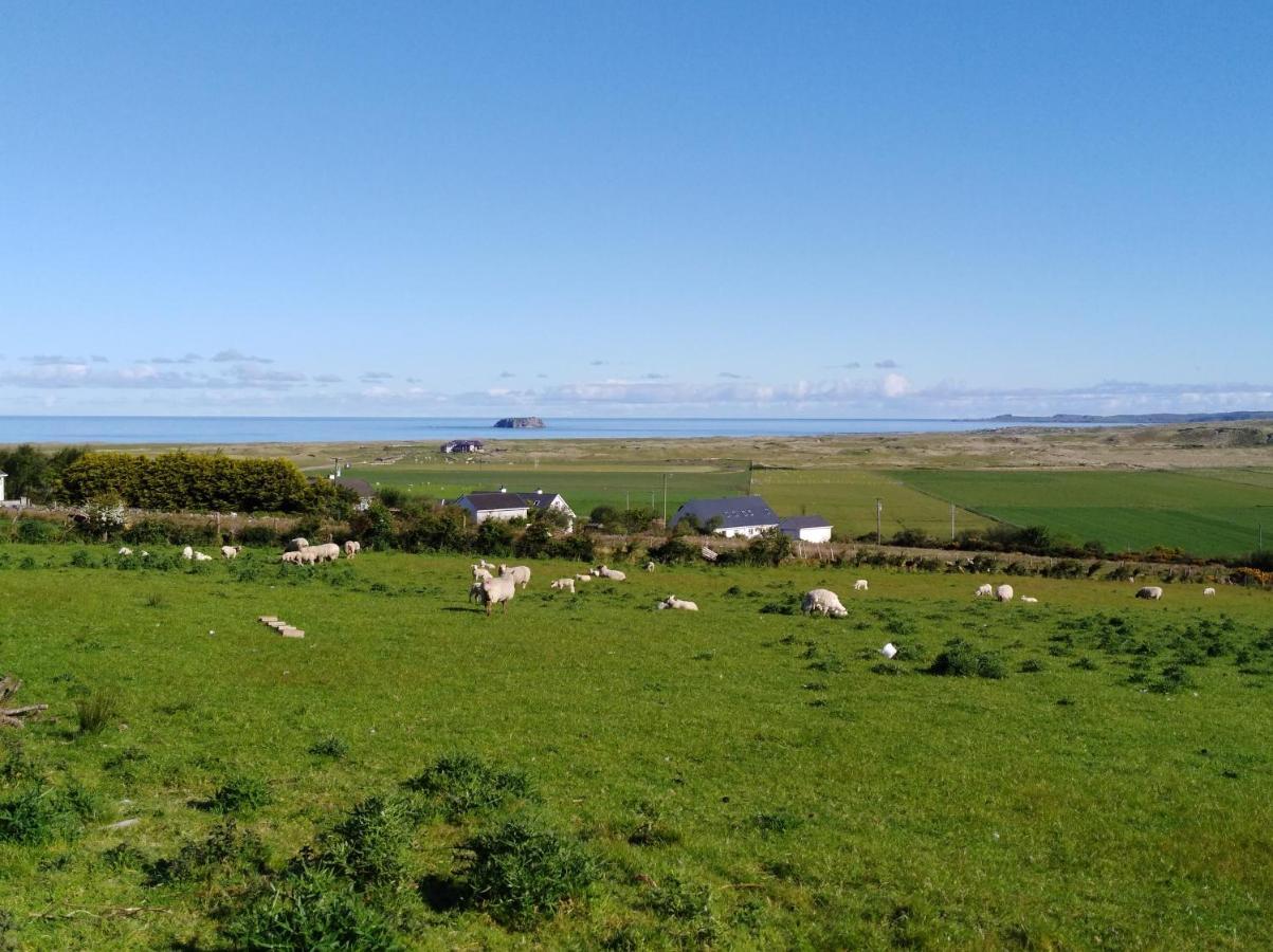 Madra Rua Organic Accommodation Ballyliffin Exterior photo