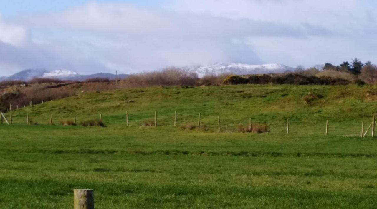 Madra Rua Organic Accommodation Ballyliffin Exterior photo