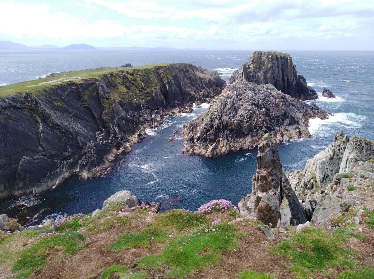 Madra Rua Organic Accommodation Ballyliffin Exterior photo